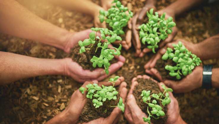 Ambiente, così lo mantieni pulito